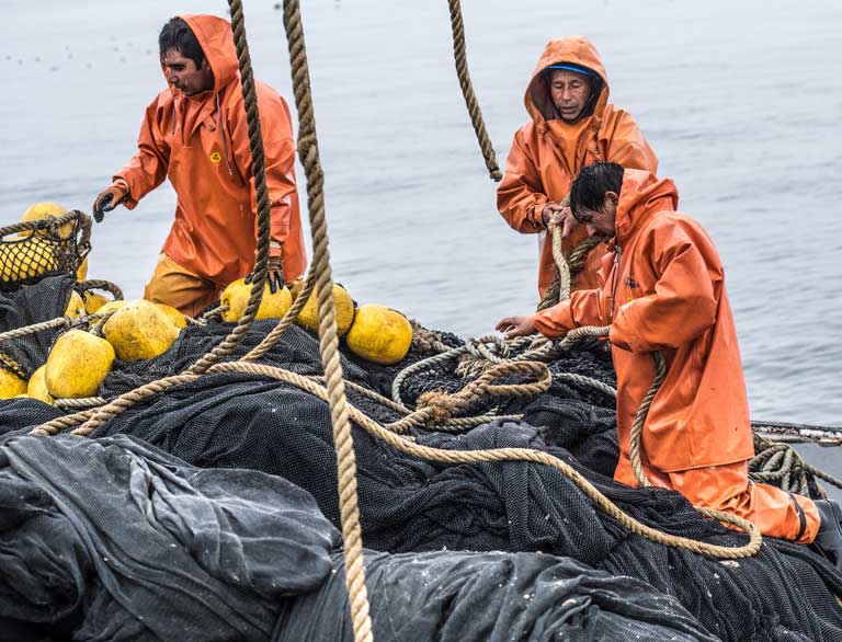 Three men collecting netting from the sea