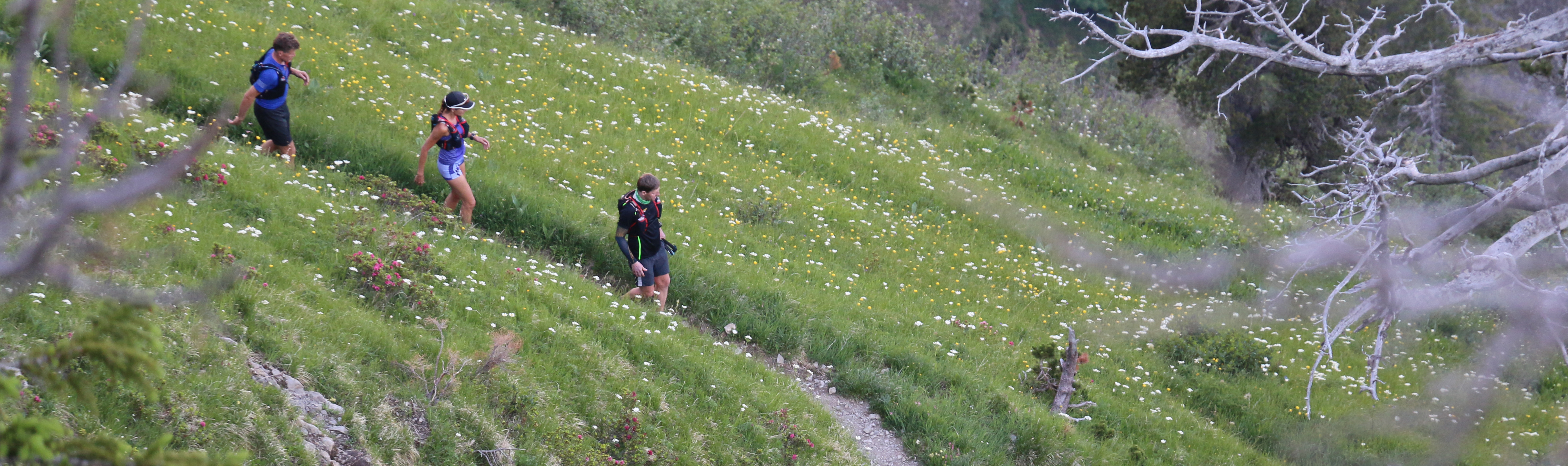 A woman and a man run through a field of grass and wildflowers