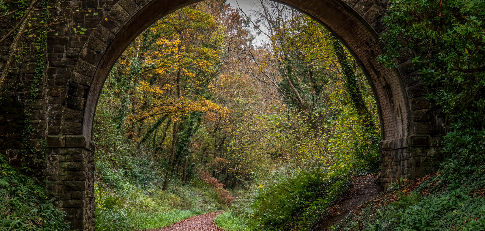 A forest through an archway 