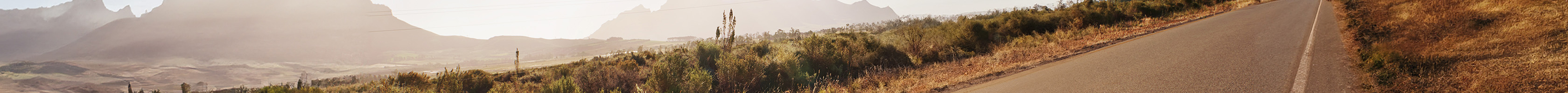 A road and lovely nature 