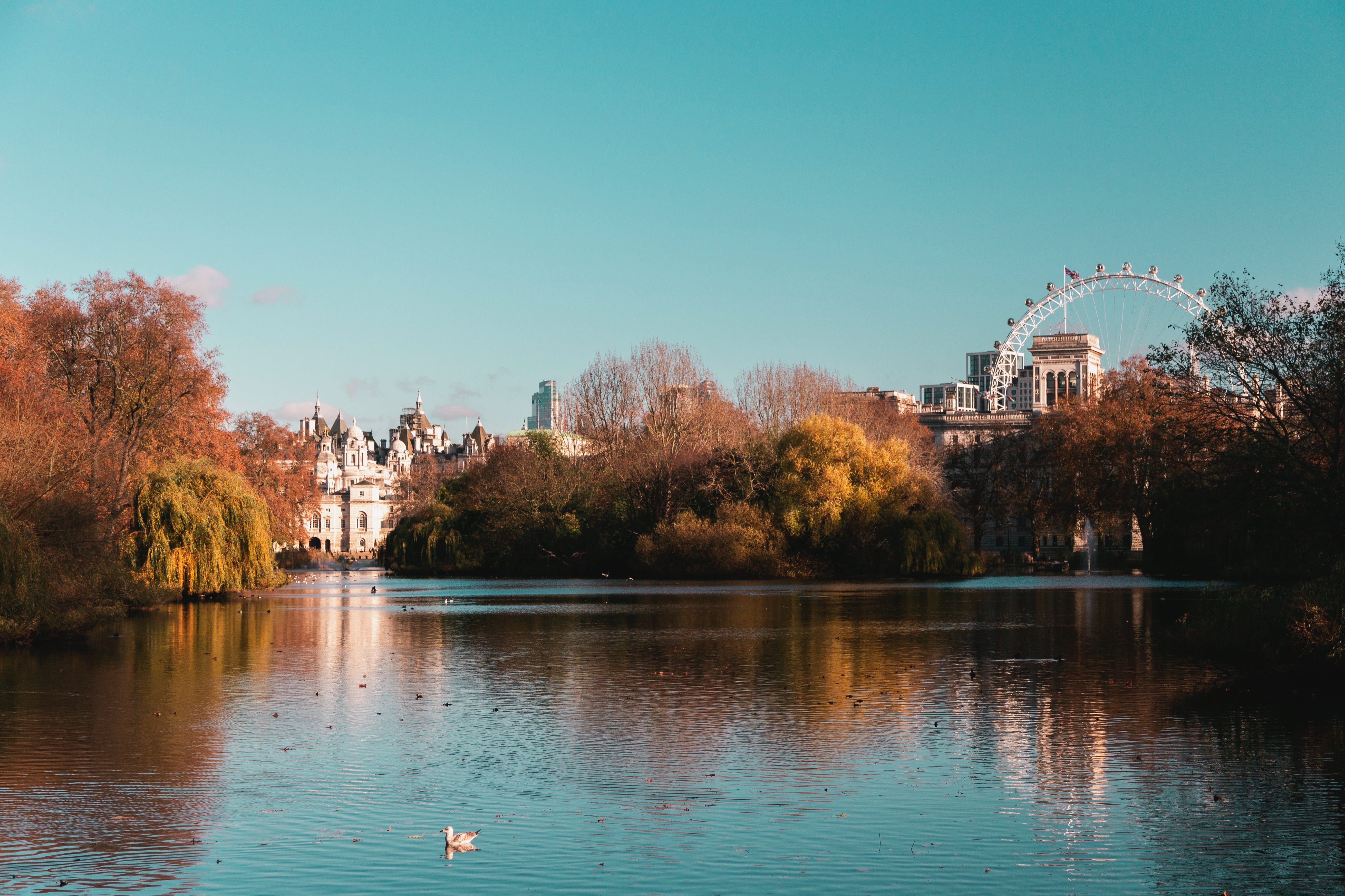 An image of a lake taken in St James Park 