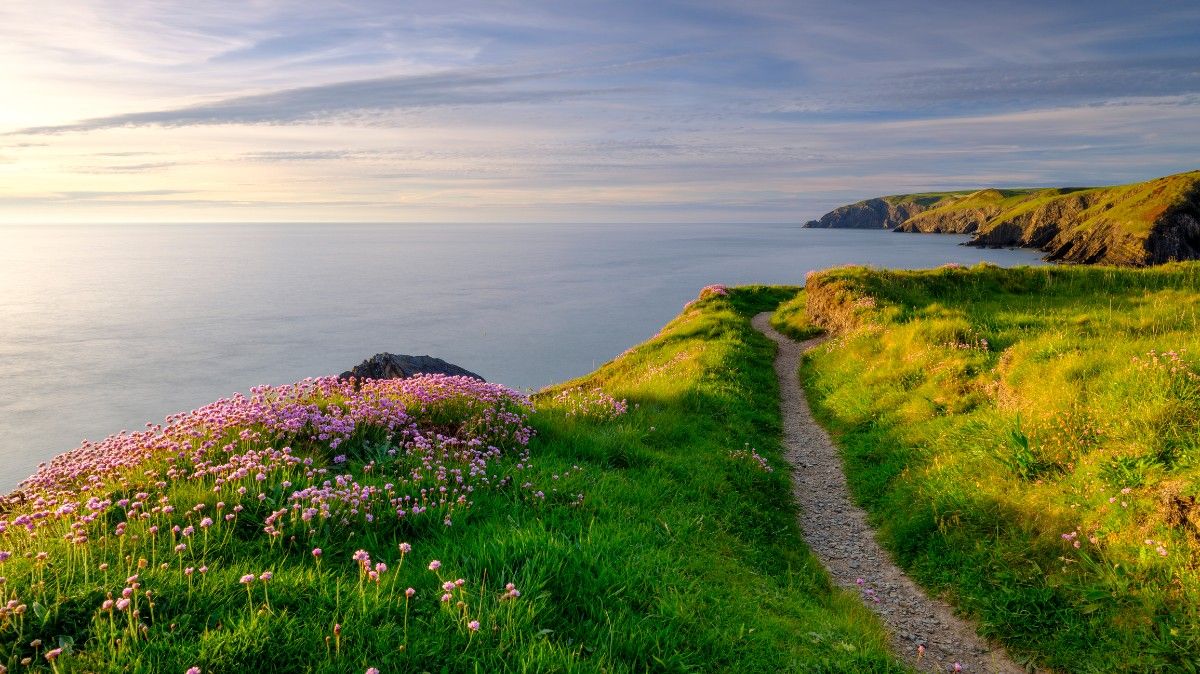 The Pembrokeshire Coast Path