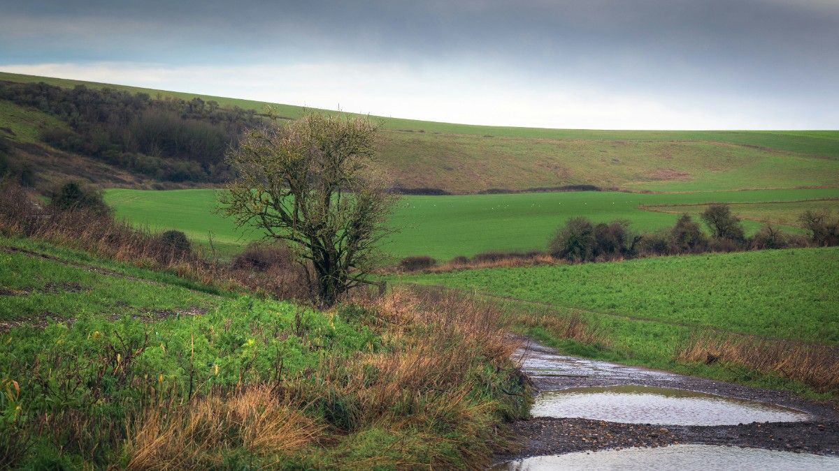 The South Downs Way