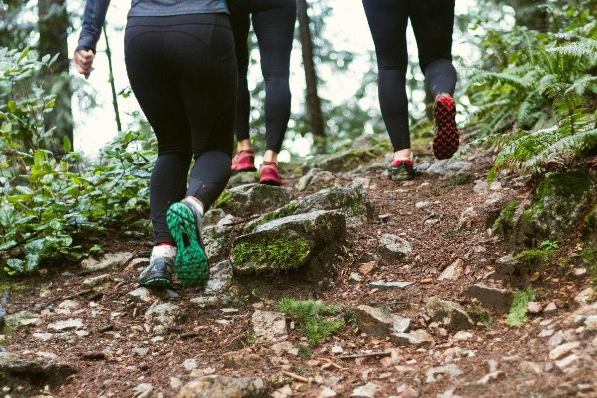 A group of people trail running together